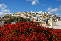 Las Palmas de Gran Canaria